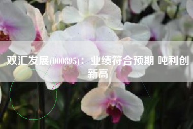 双汇发展(000895)：业绩符合预期 吨利创新高