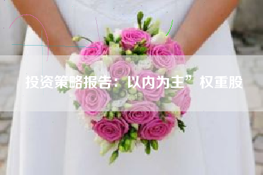 投资策略报告：以内为主”权重股