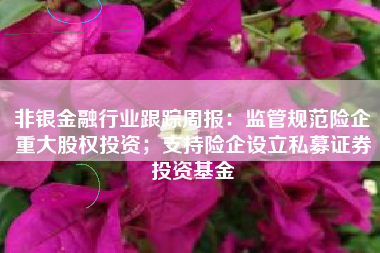 非银金融行业跟踪周报：监管规范险企重大股权投资；支持险企设立私募证券投资基金