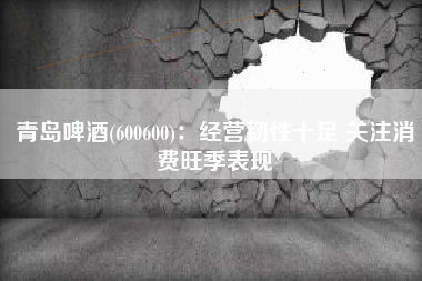 青岛啤酒(600600)：经营韧性十足 关注消费旺季表现