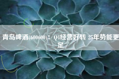 青岛啤酒(600600)：Q4经营好转 25年势能更足