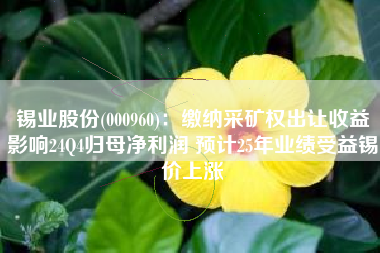锡业股份(000960)：缴纳采矿权出让收益影响24Q4归母净利润 预计25年业绩受益锡价上涨