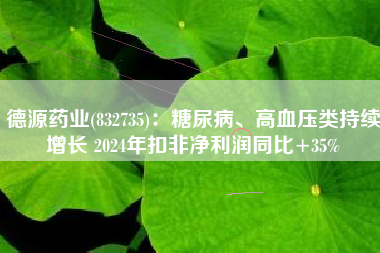 德源药业(832735)：糖尿病、高血压类持续增长 2024年扣非净利润同比+35%