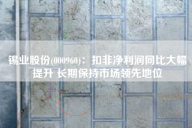 锡业股份(000960)：扣非净利润同比大幅提升 长期保持市场领先地位