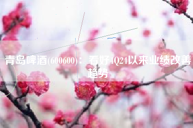 青岛啤酒(600600)：看好4Q24以来业绩改善趋势
