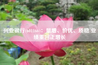 兴业银行(601166)：量增、价优、质稳 业绩重回正增长