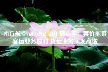 南方航空(600029)2024年报点评：票价拖累客运业务增利 货运业务实现高增