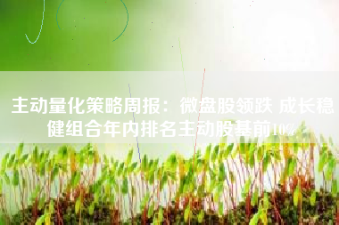 主动量化策略周报：微盘股领跌 成长稳健组合年内排名主动股基前10%