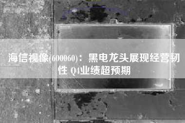 海信视像(600060)：黑电龙头展现经营韧性 Q4业绩超预期