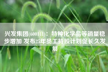 兴发集团(600141)：特种化学品等销量稳步增加 发布25年员工持股计划促长久发展