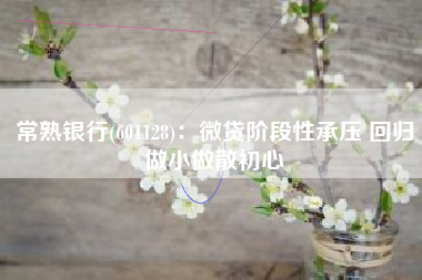 常熟银行(601128)：微贷阶段性承压 回归做小做散初心