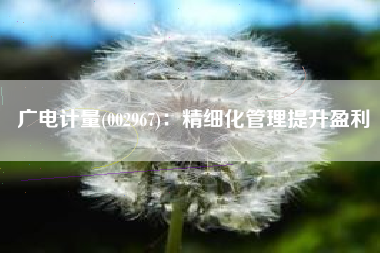 广电计量(002967)：精细化管理提升盈利