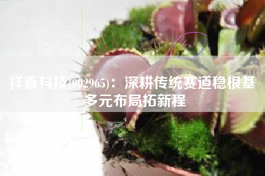 祥鑫科技(002965)：深耕传统赛道稳根基 多元布局拓新程