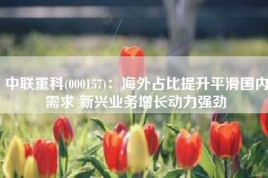中联重科(000157)：海外占比提升平滑国内需求 新兴业务增长动力强劲