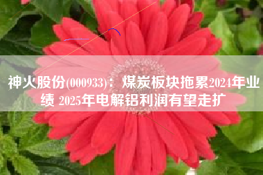 神火股份(000933)：煤炭板块拖累2024年业绩 2025年电解铝利润有望走扩
