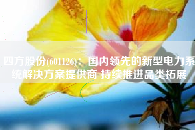 四方股份(601126)：国内领先的新型电力系统解决方案提供商 持续推进品类拓展