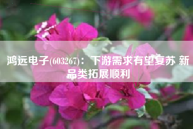 鸿远电子(603267)：下游需求有望复苏 新品类拓展顺利