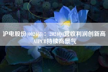 沪电股份(002463)：2024Q4营收利润创新高 AIPCB持续高景气