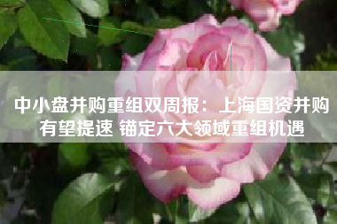 中小盘并购重组双周报：上海国资并购有望提速 锚定六大领域重组机遇