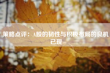 策略点评：A股的韧性与积极布局的良机已现