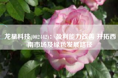 龙星科技(002442)：盈利能力改善 开拓西南市场及绿色发展路径