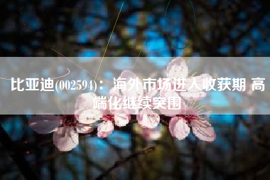 比亚迪(002594)：海外市场进入收获期 高端化继续突围