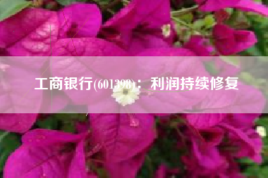 工商银行(601398)：利润持续修复