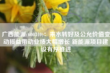 广西能源(600310)：来水转好及公允价值变动损益带动业绩大幅增长 新能源项目建设有序推进