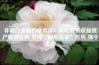 非银行金融行业点评：优化险资权益资产监管比例 发挥“耐心资本”优势-强于大市