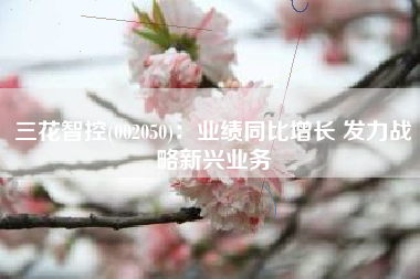 三花智控(002050)：业绩同比增长 发力战略新兴业务