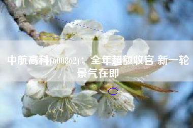 中航高科(600862)：全年超额收官 新一轮景气在即