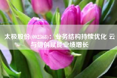 太极股份(002368)：业务结构持续优化 云与信创赋能业绩增长