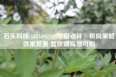 石头科技(688169)2024年报点评：积极策略效果显著 营收端高增可期