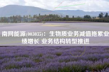 南网能源(003035)：生物质业务减值拖累业绩增长 业务结构转型推进