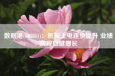 数据港(603881)：机柜上电逐步提升 业绩实现稳健增长