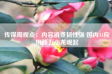 传媒周观点：内容消费韧性强 国内AI应用新五小龙崛起