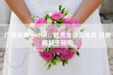 广发证券(000776)：收费类业务优异 总体略好于预期
