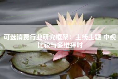可选消费行业研究框架:主线主题 中观比较与多维择时 可选消费行业研究框架:主线主题 中观比较与多维择时