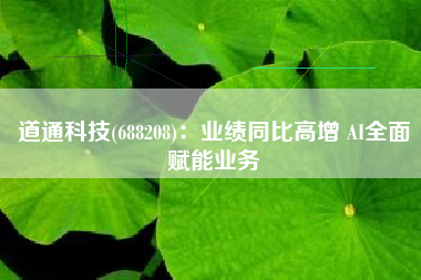 道通科技(688208)：业绩同比高增 AI全面赋能业务