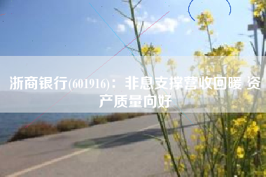 浙商银行(601916)：非息支撑营收回暖 资产质量向好