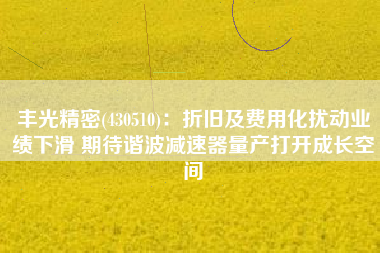 丰光精密(430510)：折旧及费用化扰动业绩下滑 期待谐波减速器量产打开成长空间