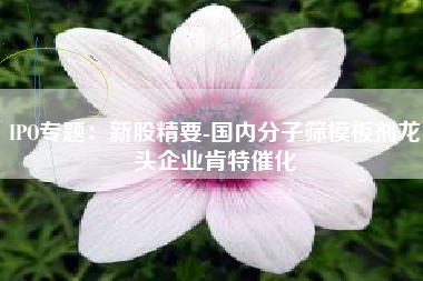 IPO专题：新股精要-国内分子筛模板剂龙头企业肯特催化