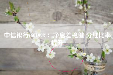 中信银行(601998)：净息差稳健 分红比率提升