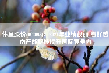 伟星股份(002003)：2024年业绩靓丽 看好越南产能爬坡提升国际竞争力
