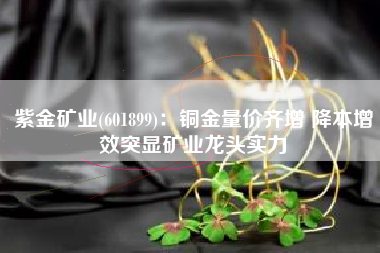 紫金矿业(601899)：铜金量价齐增 降本增效突显矿业龙头实力