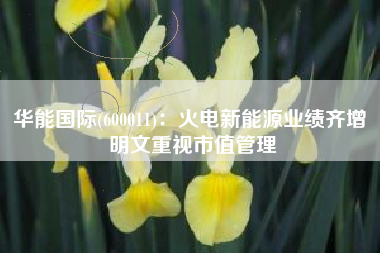 华能国际(600011)：火电新能源业绩齐增 明文重视市值管理