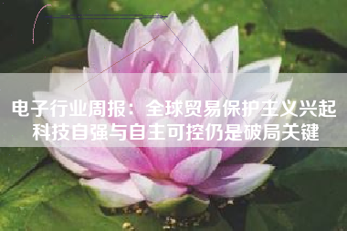电子行业周报：全球贸易保护主义兴起 科技自强与自主可控仍是破局关键