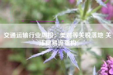 交通运输行业周报：美对等关税落地 关注贸易流重构