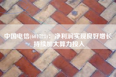 中国电信(601728)：净利润实现良好增长 持续加大算力投入