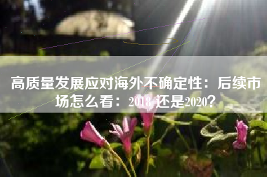 高质量发展应对海外不确定性：后续市场怎么看：2018 还是2020？